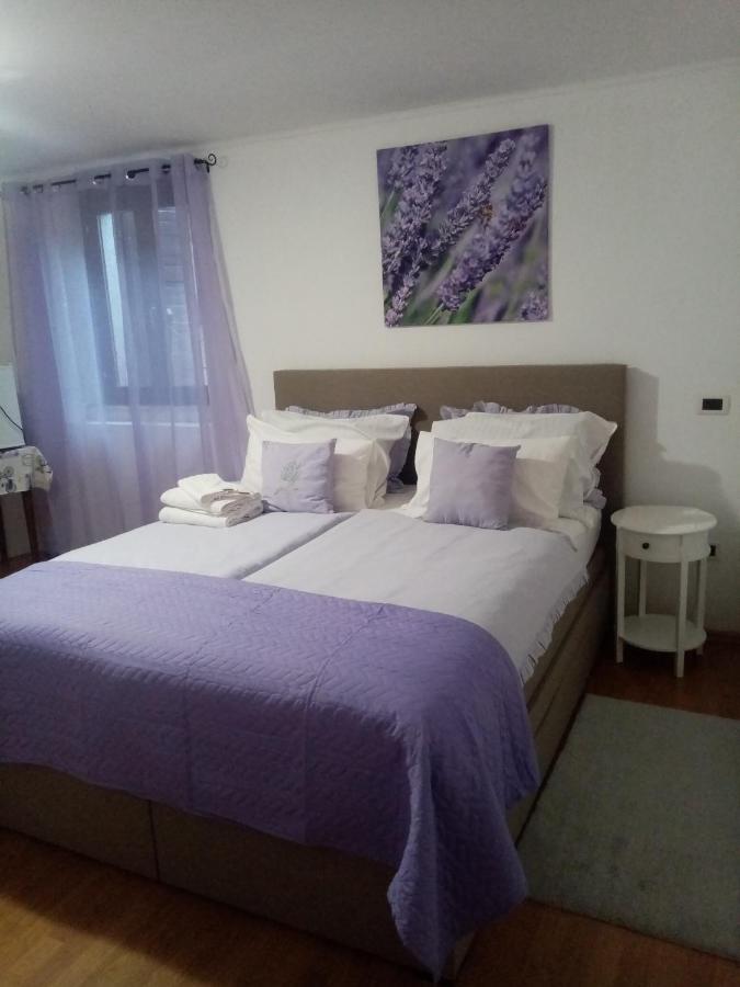 Rooms Serafin Motovun Extérieur photo